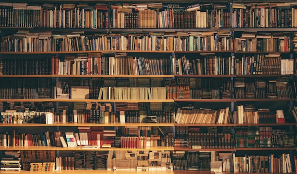 A person reading a book